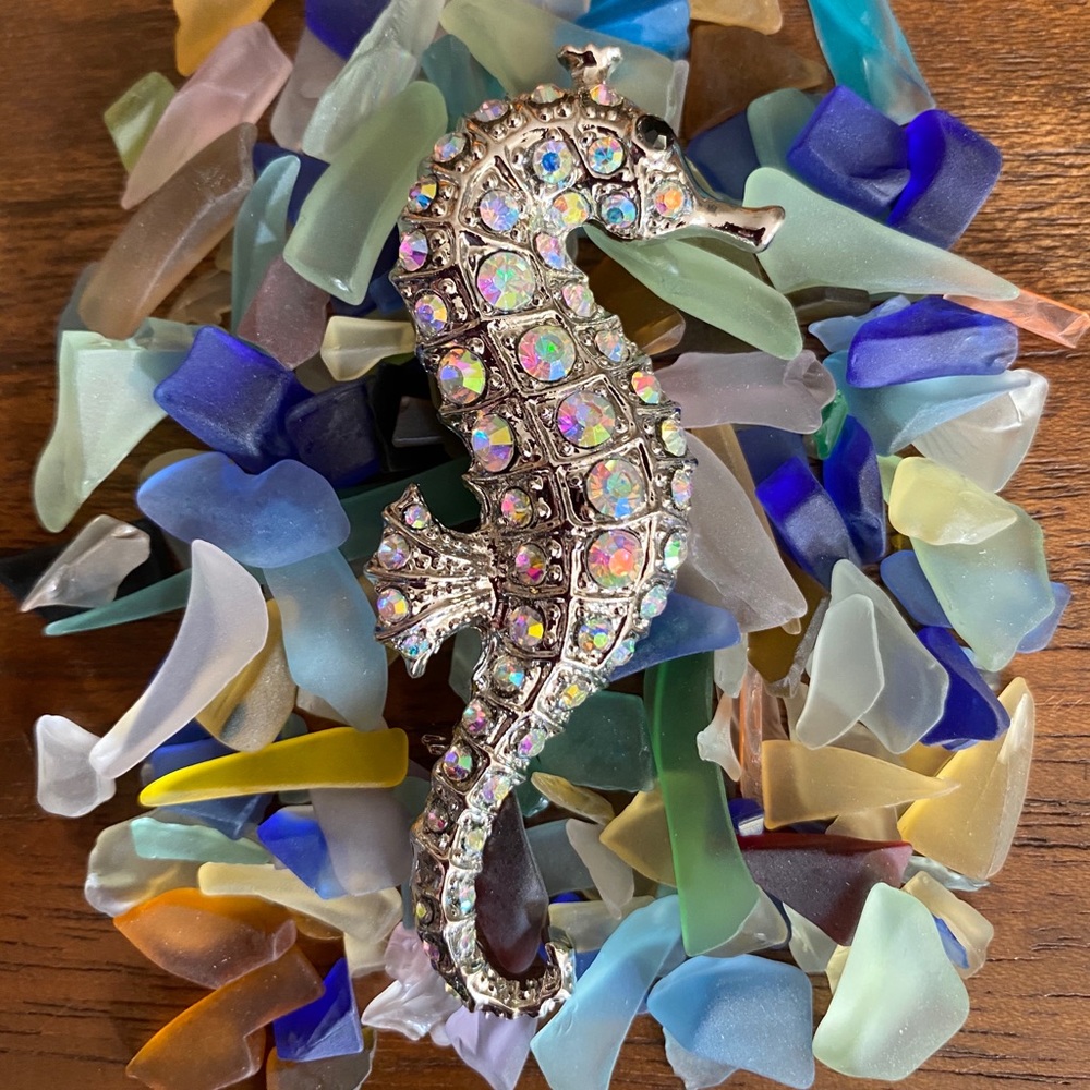 Seahorse Rhinestone Pin Silver Alloy NWT